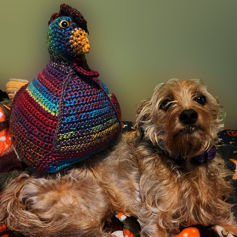 Emotional Support Chicken – Pattern by Annette Corsino – Model is Bailey