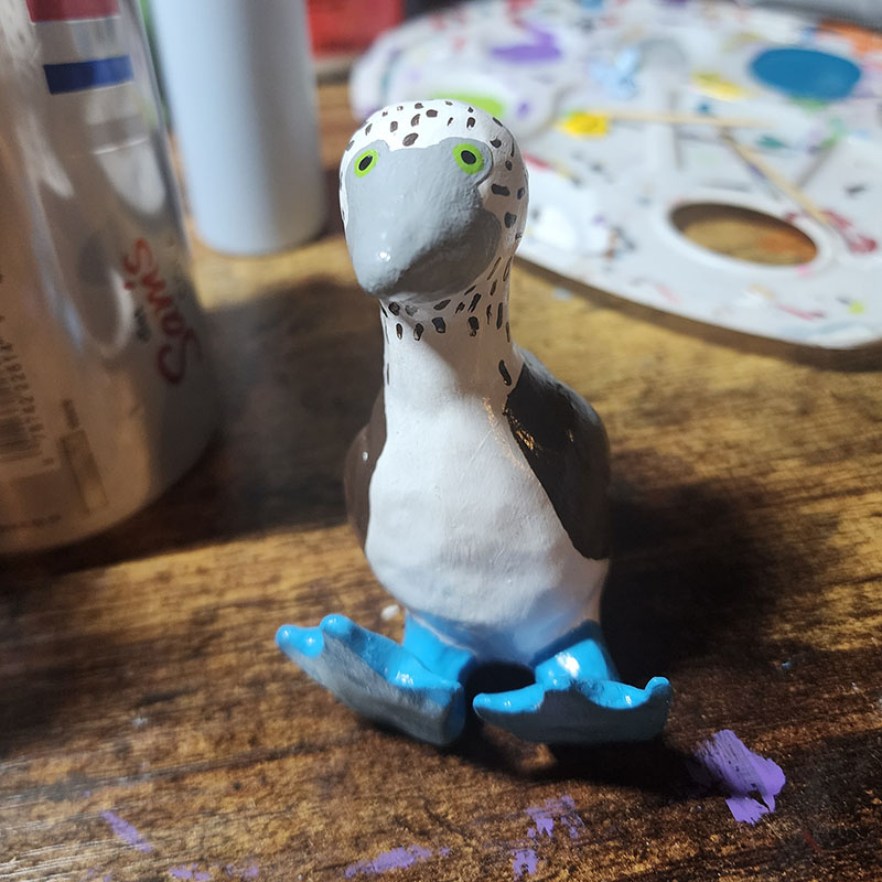Blue-Footed Booby Bird