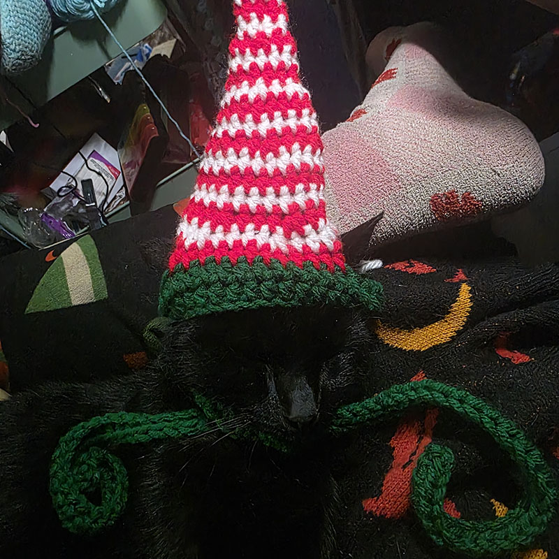 Cat Elf Hat – Pattern by Kylee Keller – Model is Jinx