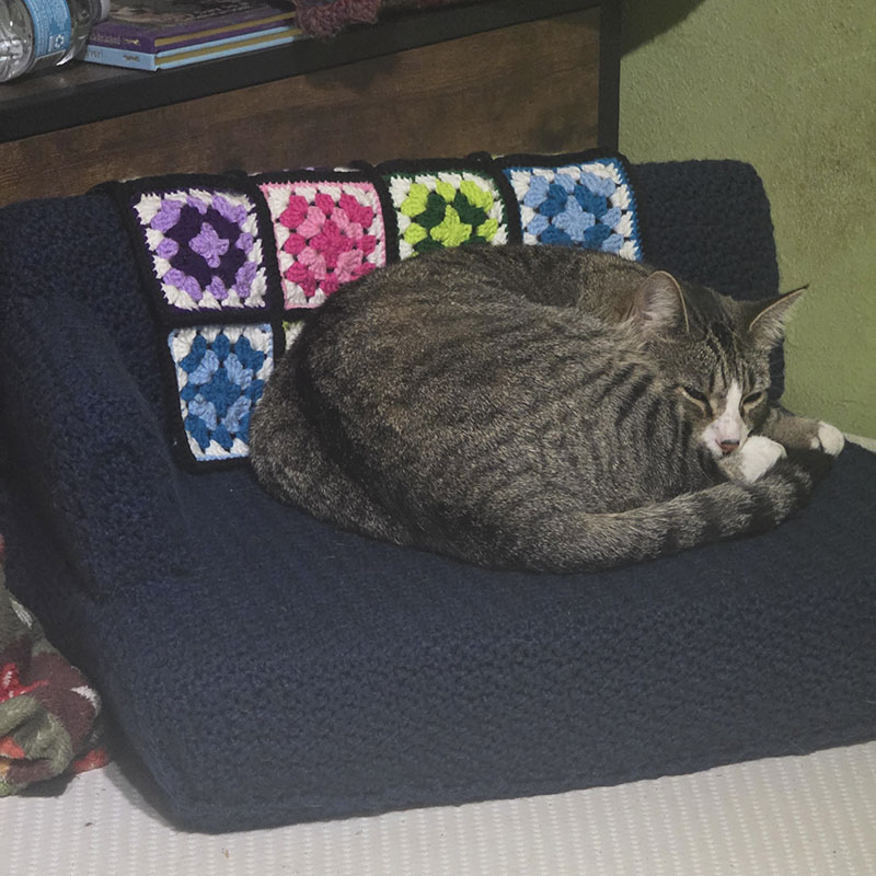 Cat Couch with Granny Square Blanket Featuring Taz