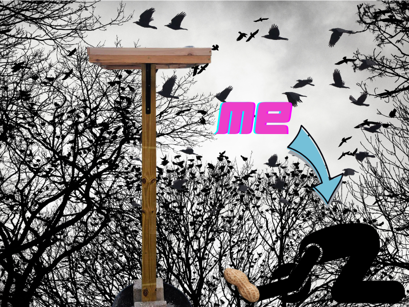 trees full of crows and crows flying through the air with a diy crow tower at the center, a bowing silhouette figure holding a peanut with a bright arrow and the words 'me' pointing towards the figure