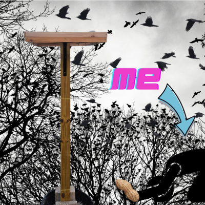 trees full of crows and crows flying through the air with a diy crow tower at the center, a bowing silhouette figure holding a peanut with a bright arrow and the words 'me' pointing towards the figure
